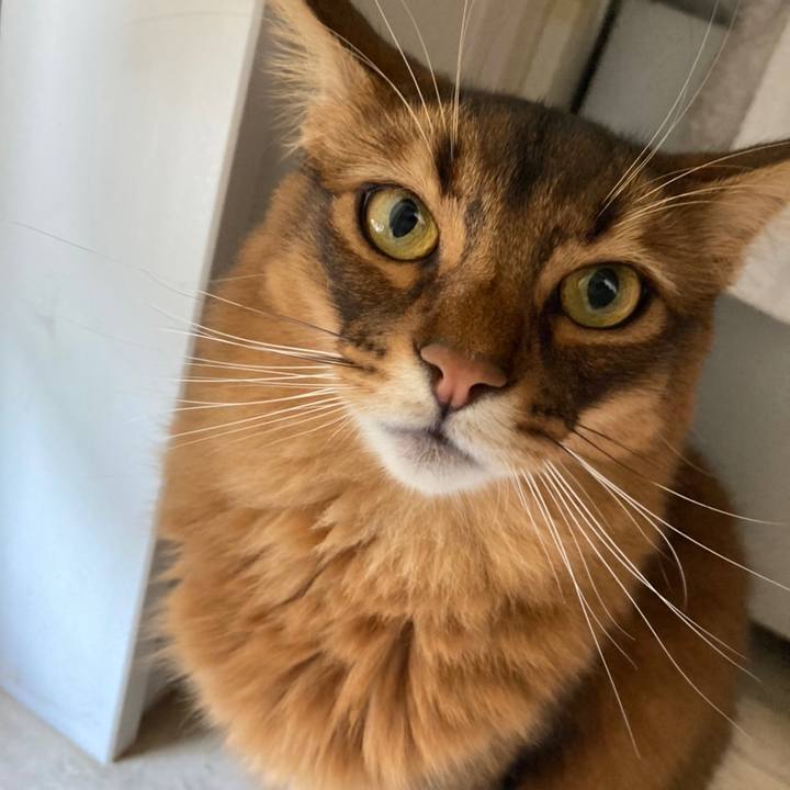 C04b1853 40be 4795 8b9d b08775aac533 1666674501650