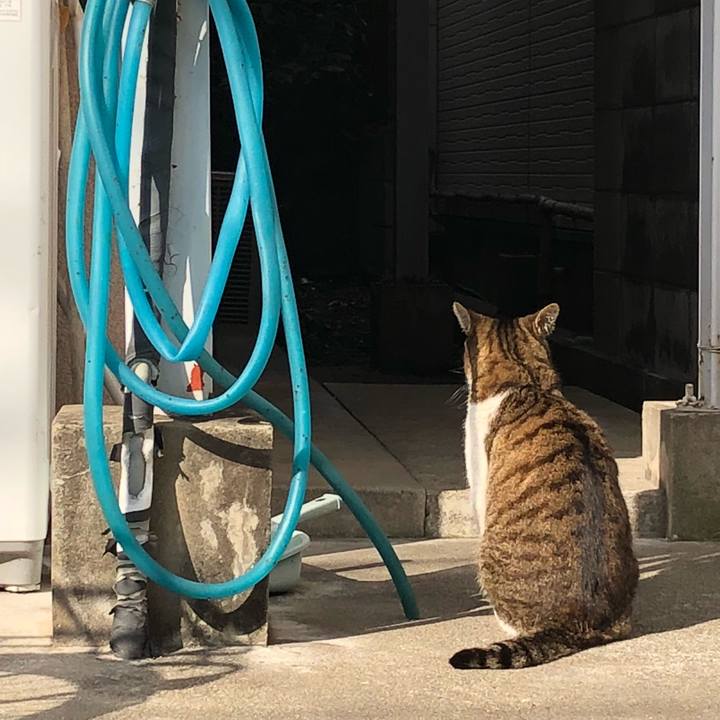 C04b1a95 822d 4357 a07a 25186bd4312e 1520751347961