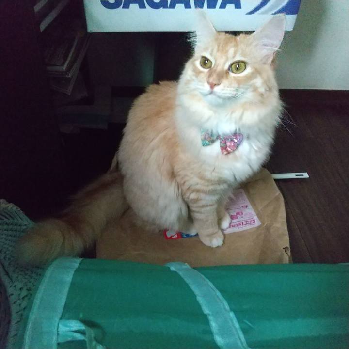 C04b43ee b7d9 4dc4 8212 325fb15b244c 1633746623964