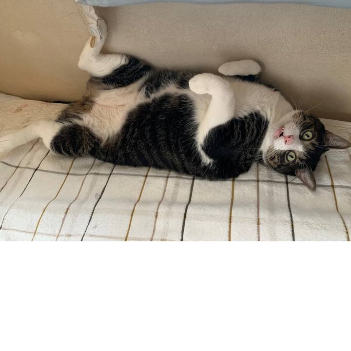 C04b4c68 878a 434b b4b1 872c1b6fed57 1628311641578