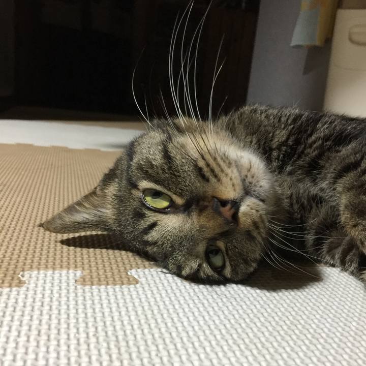 C04b4c9e fce3 4f3c 8975 c1698401d358 1630040794960