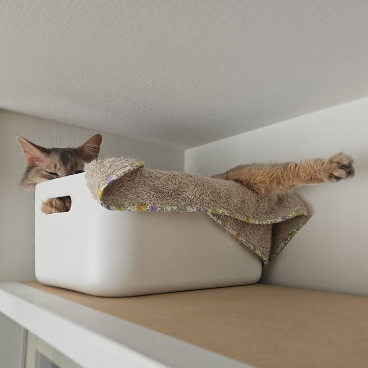 C04b4d51 f4c1 4ce3 85bb 5e41d771f240 1771227933988