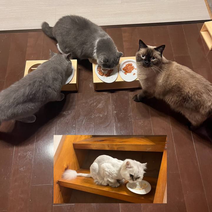 C04b58cf 160d 4cab be95 52ea02d6a872 1692919178958