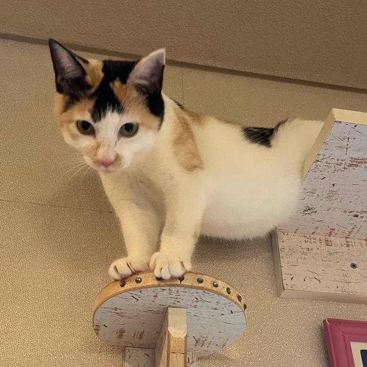 C04b6f06 3f8b 4ca7 8399 2f24bfd0623e 1669217851358