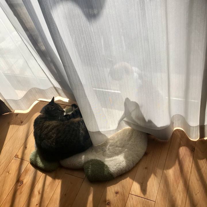 C04b730c e1e4 4217 b1bb 2f119ec24377 1614240909638