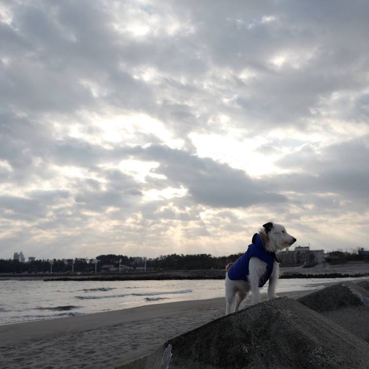 C04bc3ec 1fc6 48d7 a1dc 19cd41efd93d 1551157810768