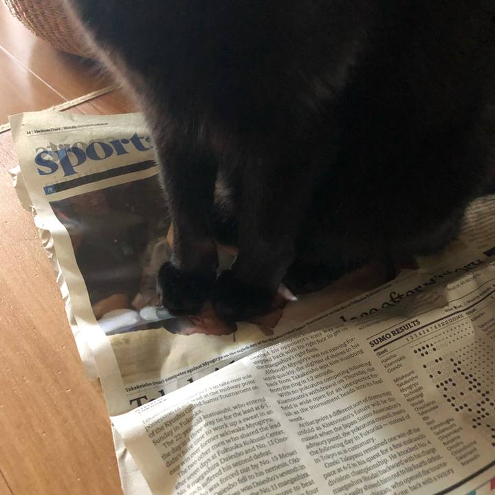 C04c0aa4 bd26 4f97 bce8 9a71969e52a6 1551482769684