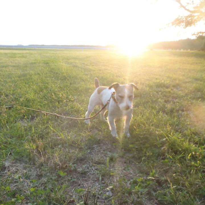 C04c0c2a 8a43 46a5 956c d602bd9e929f 1538815445004