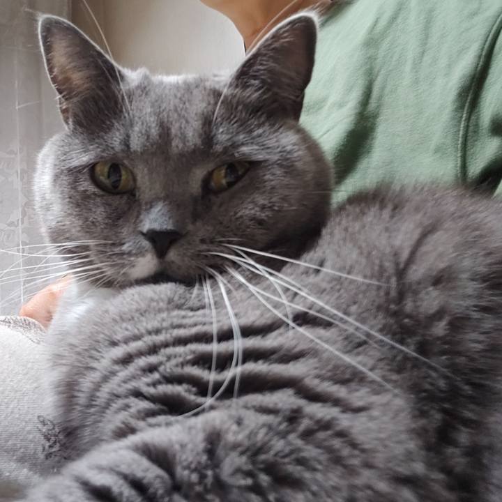 C04c242c 8756 4adc 84c9 07828398ec9c 1668542551054