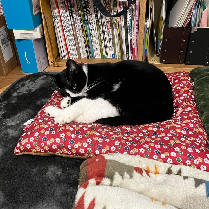 C04c45ac 32eb 482f acc2 6f3a1a13abc0 1670210087823