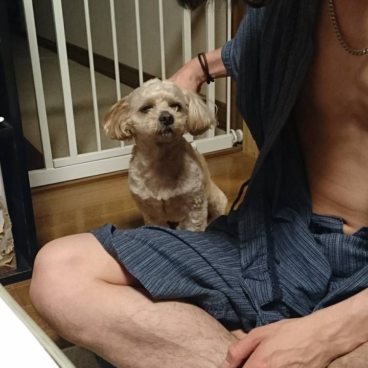 C04c555e af68 499f a5f6 6247685370f5 1589886546912