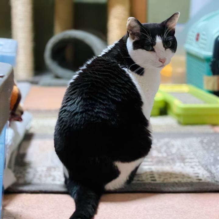 C04c77b1 21cd 4b50 8dca 1315d74e830c 1656296431852