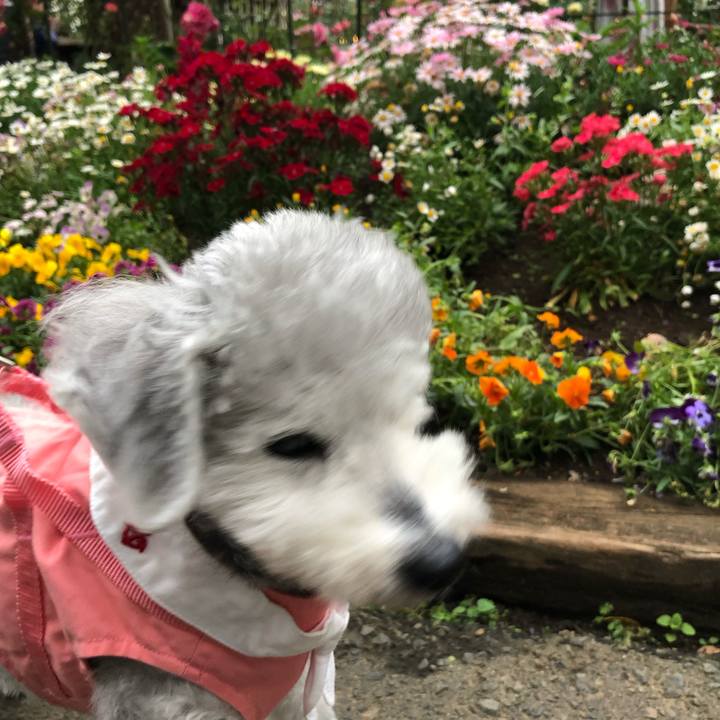 C04c8204 d543 48f5 acfe 1ad0ce37970d 1652522911069