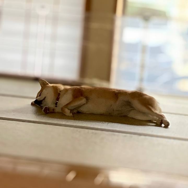 C04c8617 ad6c 417b 9bdb 314de73ae231 1653623813060