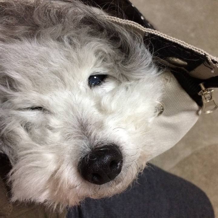 C04cad20 2eab 4538 8b01 e89d26d1a128 1511448660636