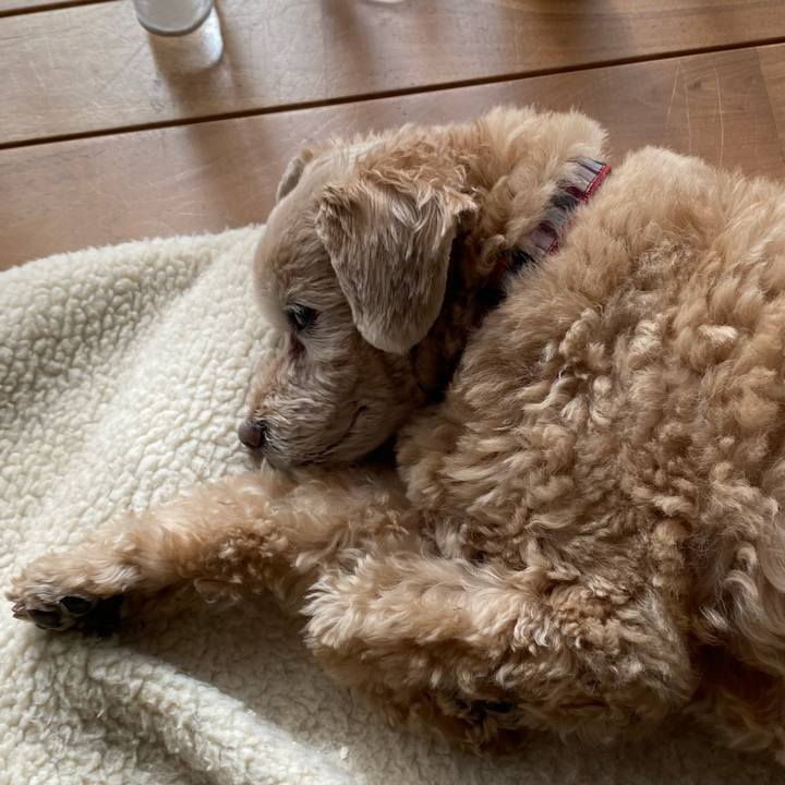 C04ce21f 4d15 4164 a48e b006177411cf 1668306359955