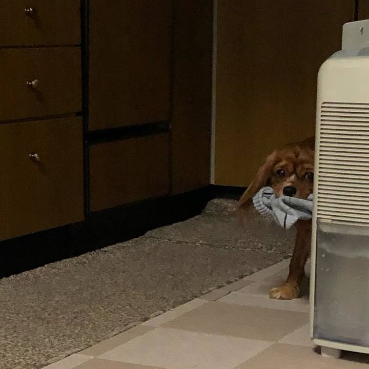 C04cfdda e48b 4a0c 9fe9 234531a8735c 1551650063276