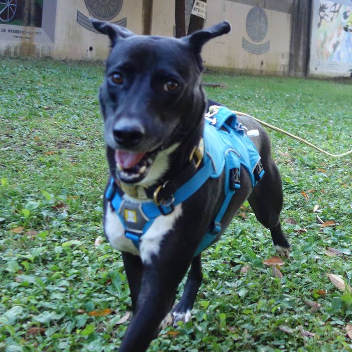 C04d118f ba43 4977 8dc0 2b6d8b629cac 1605399694223