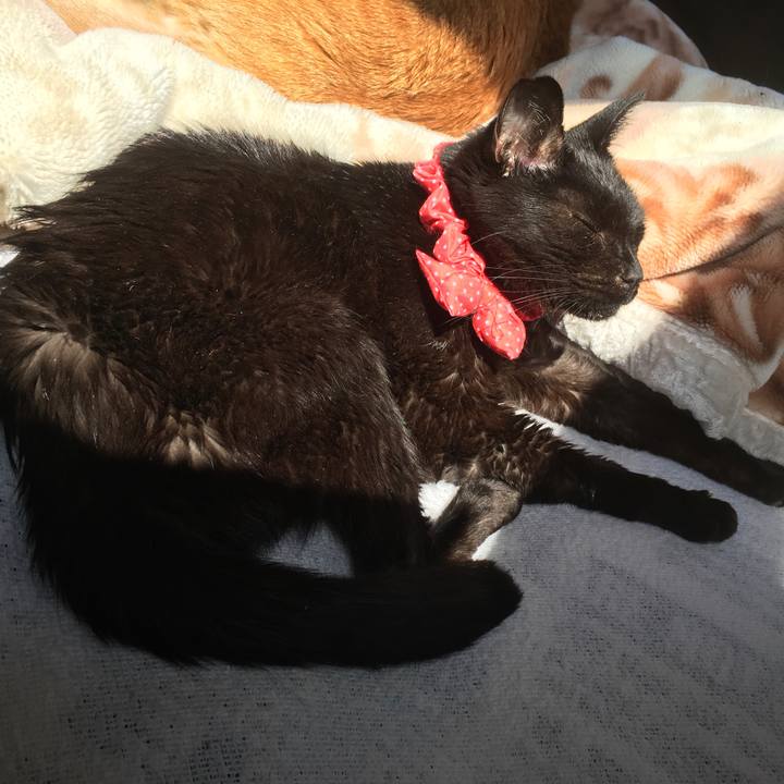 C04d1d47 ed6b 4aef 944e fa212ca57d63 1589631376326