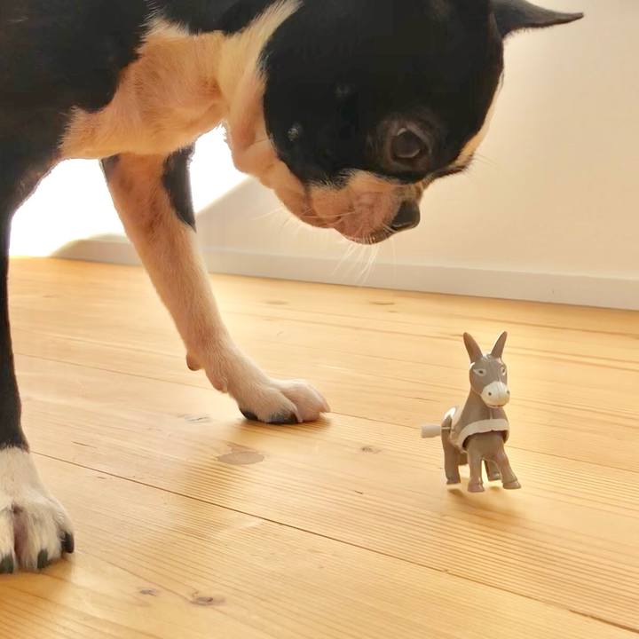 C04d239f 7bfb 4c60 b648 292f7f48da38 1515721252543