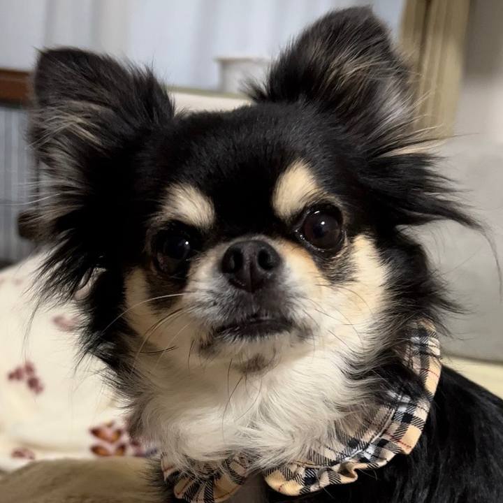 C04d31f5 f6a1 4e44 a240 dfb0781fc4ed 1674048325693