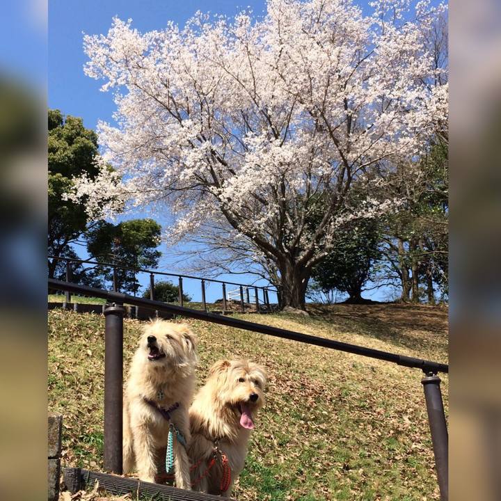 C04d9f1c 8cfc 4ccf 86a4 71b749945590 1617160727400