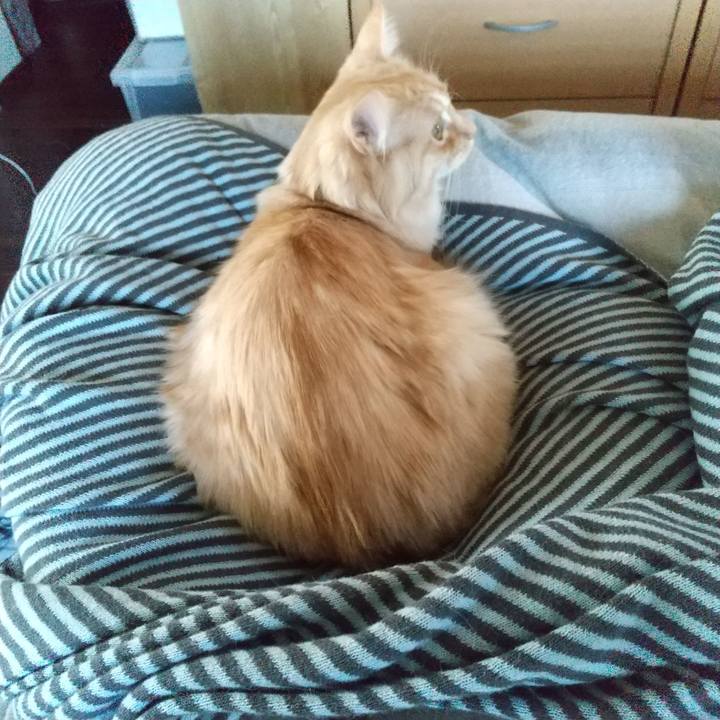 C04da6ad a6fc 4d25 af9a 86d9b34484e5 1643330927798