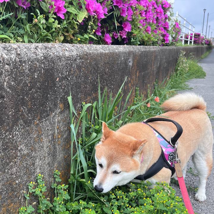 C04db3cf 21eb 4d80 a5bf 81dce205e4ca 1714198047592