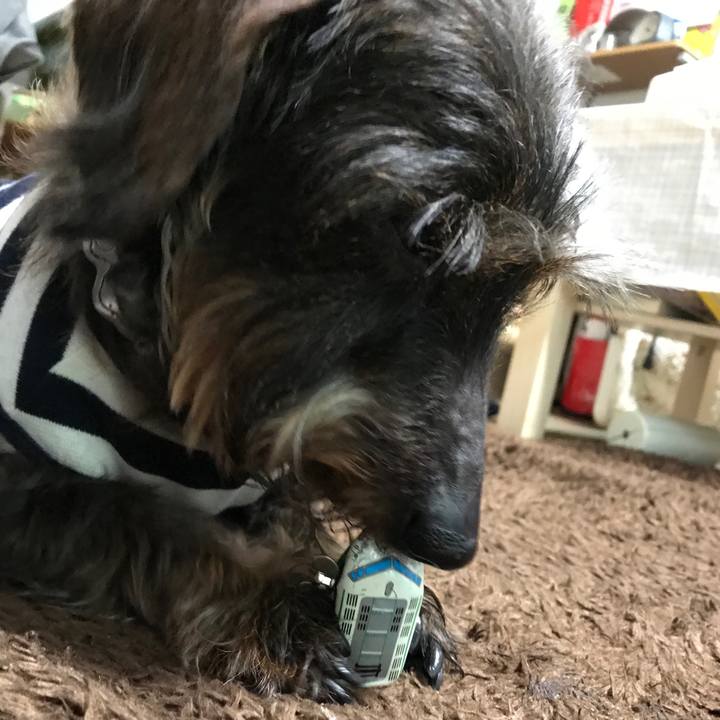 C04e380c 174c 42df 8435 64882f175514 1523776573069