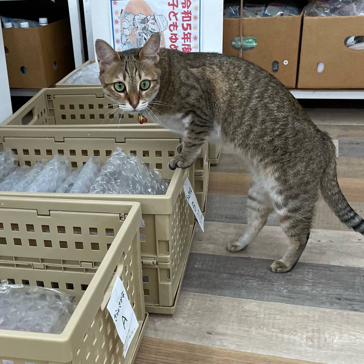 C04e956e 85ec 4b83 8348 1cb61f064a30 1691833370428