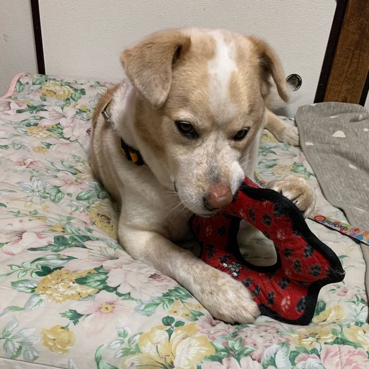 C04eccb5 6f64 4fa4 9b98 a6a733e5472d 1584613997814