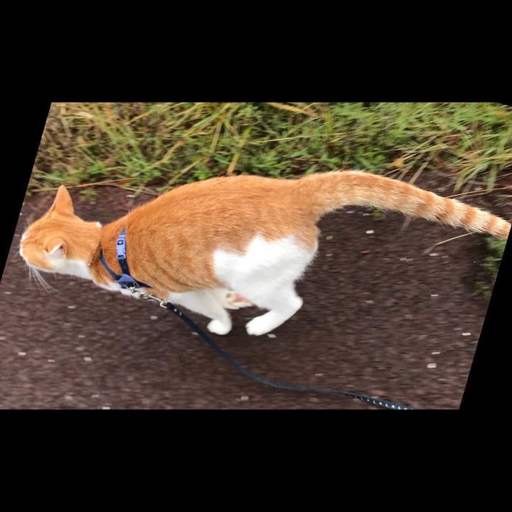 C04ecd5e ed6d 479c 8a1f 7a60c7ed8a0e 1511493267070