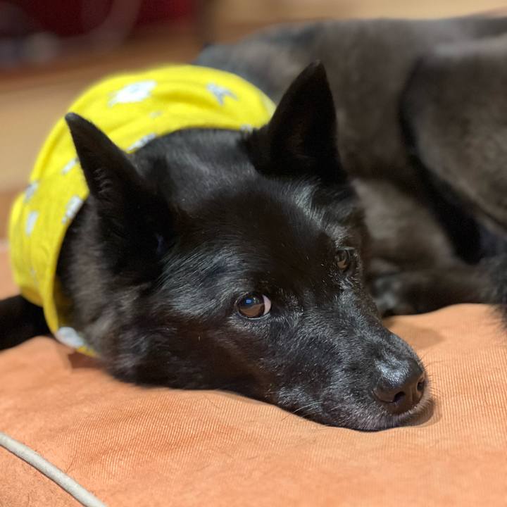 C04ed403 c3ce 4b03 8bb4 9800d7646167 1758415364486