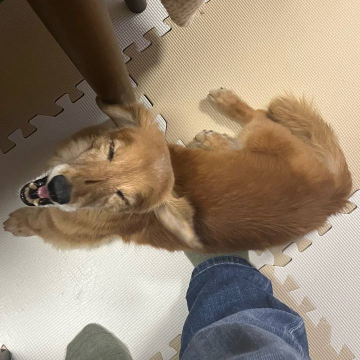 C04ed794 1c7d 4e1a 86de ba01fcfa1529 1642673748334