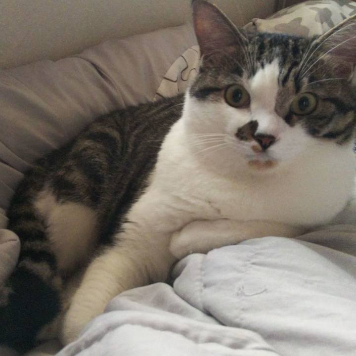 C04edc96 2960 459f 9c9c 74b68d20f587 1628478399710