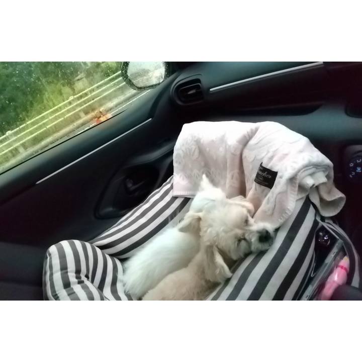 C04edee3 1628 41f0 9d7a 54af57de6f54 1659608775605