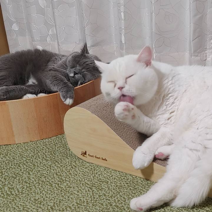 C04f3c7f 648f 4c62 93c4 158c63bfe6cd 1627381118295