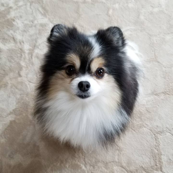 C04f4a7e 18ec 4511 80fb ee77ef32f645 1607130542303