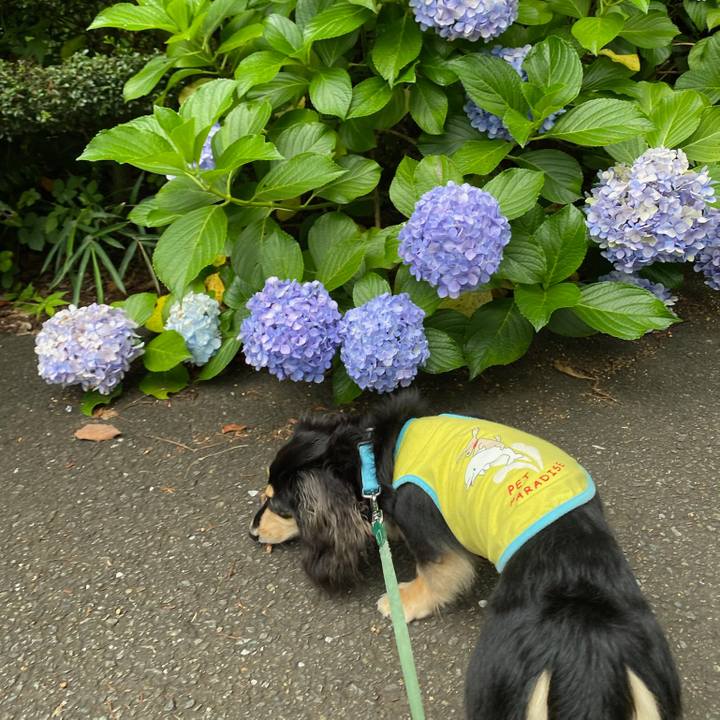 C04f4d76 0f57 4a18 b500 4fc135ce0443 1688868820466