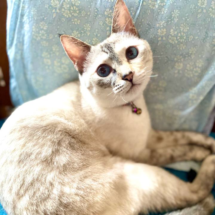 C04f776c 8850 4720 8894 d760d2939644 1755859480500