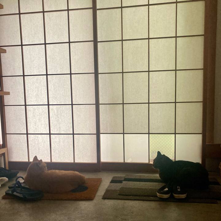 C04f903b 90ac 494a b413 843c24f401fd 1786235075792