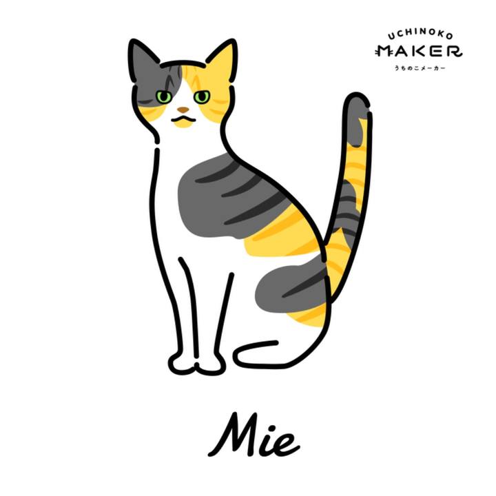 C04fa8dd d703 40b1 a673 1d0249f32da2 1660350659026