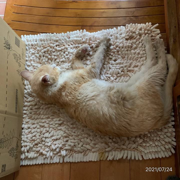 C04fa978 0309 426f 968f 3c327c9b737a 1627085564389