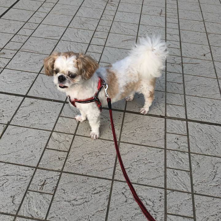 C04fbb92 0285 4298 98c5 d1ca7c7259f2 1600033320309