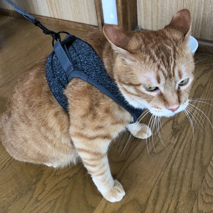 C04fc61b c558 4cf8 a48a bb16dac0d823 1583548592971