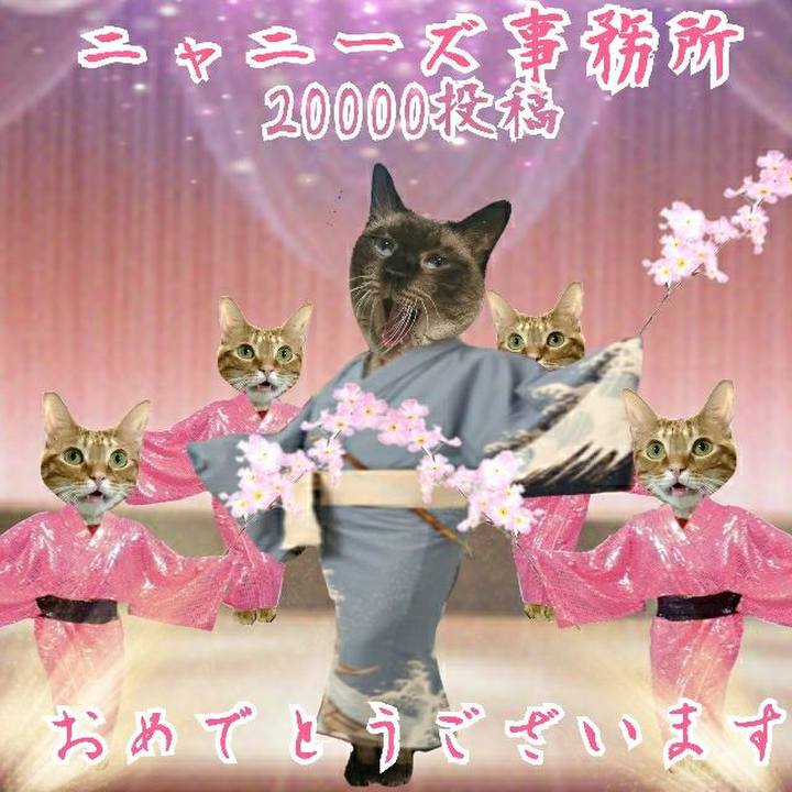 C04ffbd8 2f40 4931 9557 019f9c8f6f53 1553776610577