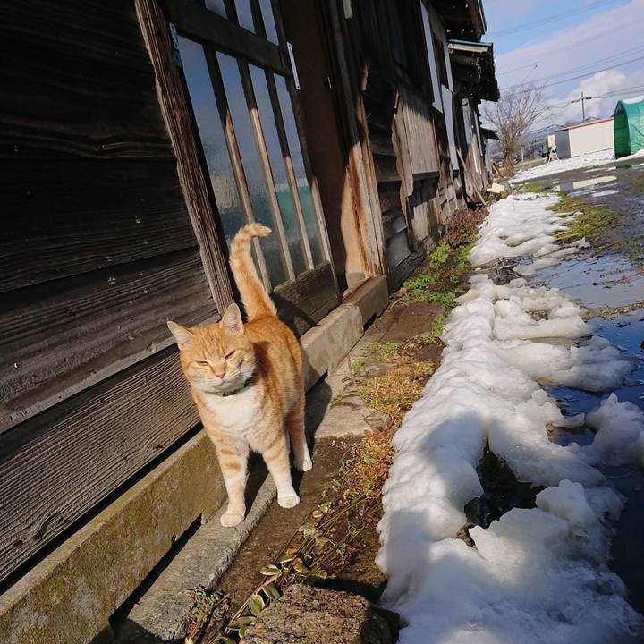 C05019fb 2c2f 4277 b44f 7bb1163b1247 1585465616509