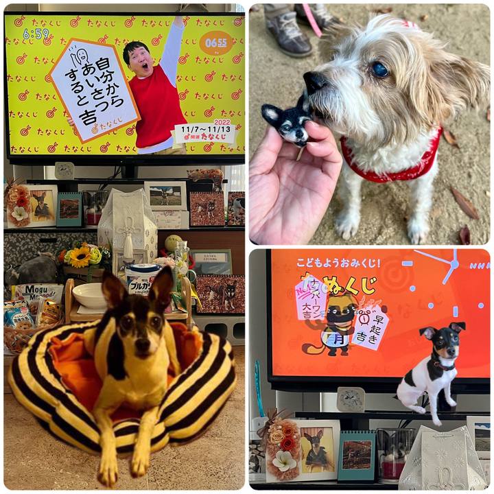 C0504369 5d02 4ad4 b7fb c2522f0e3878 1667773115535