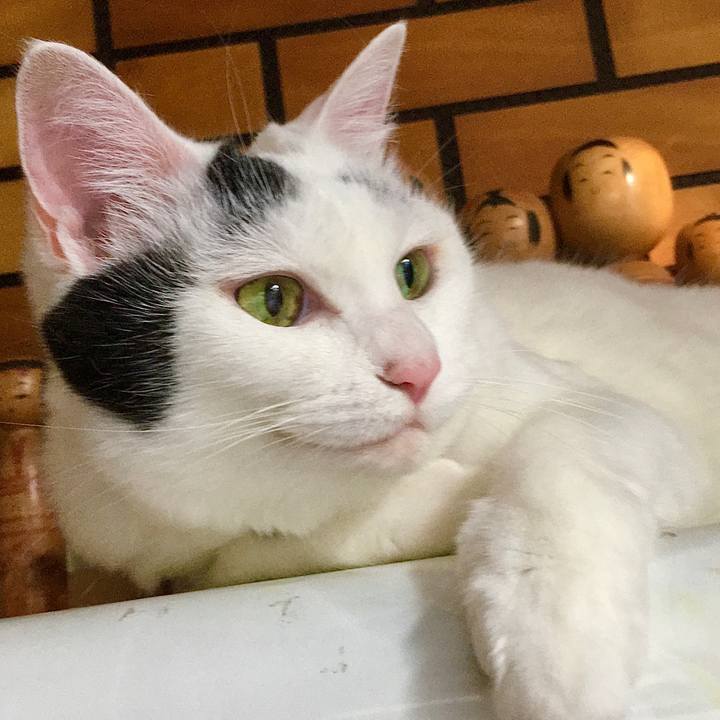 C05067c3 00f3 4470 8e72 6306f12f8d7a 1598505218485