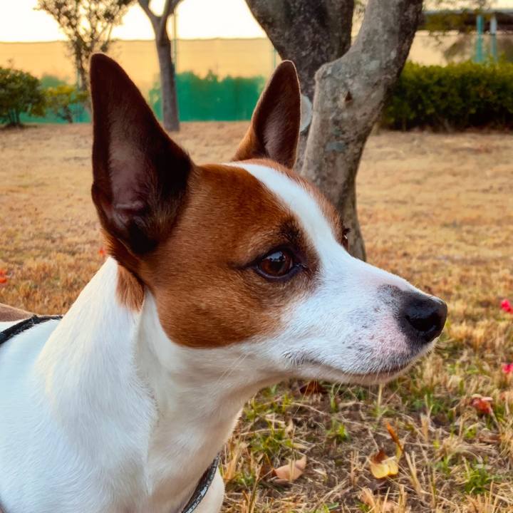 C0507b1a 0228 4d57 90fb e8697b1c9317 1552047231358